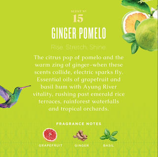 GINGER POMELO COUNTER SPRAY