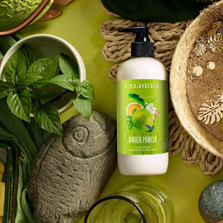 GINGER POMELO HAND LOTION