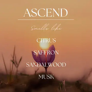 ASCEND | JAMES 4:10