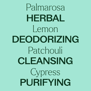 DEODORIZING ESSENTIAL OIL BLEND