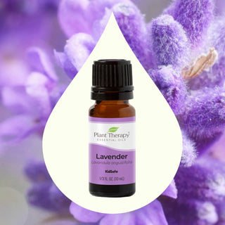 LAVENDER ESSENTIAL OIL 10ML